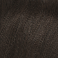 Salt + Pine Hair Clip In Extension Rental